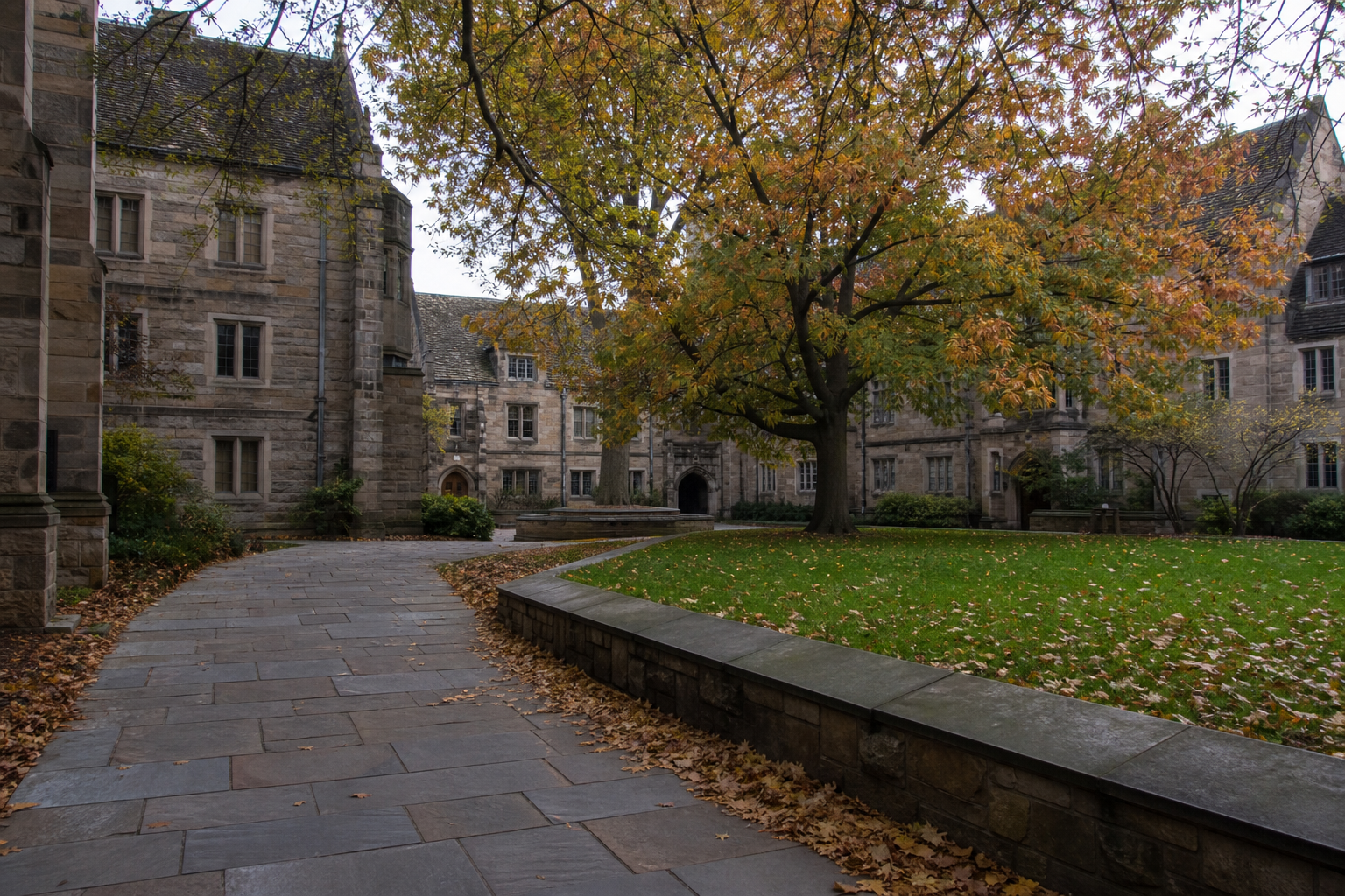 New Haven